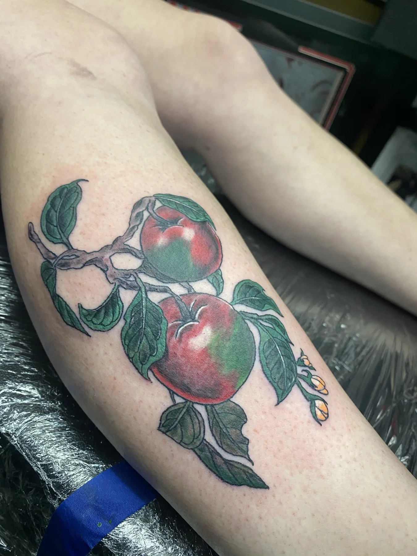 Realistic red apples and green leaves color tattoo by Josh Poindexter