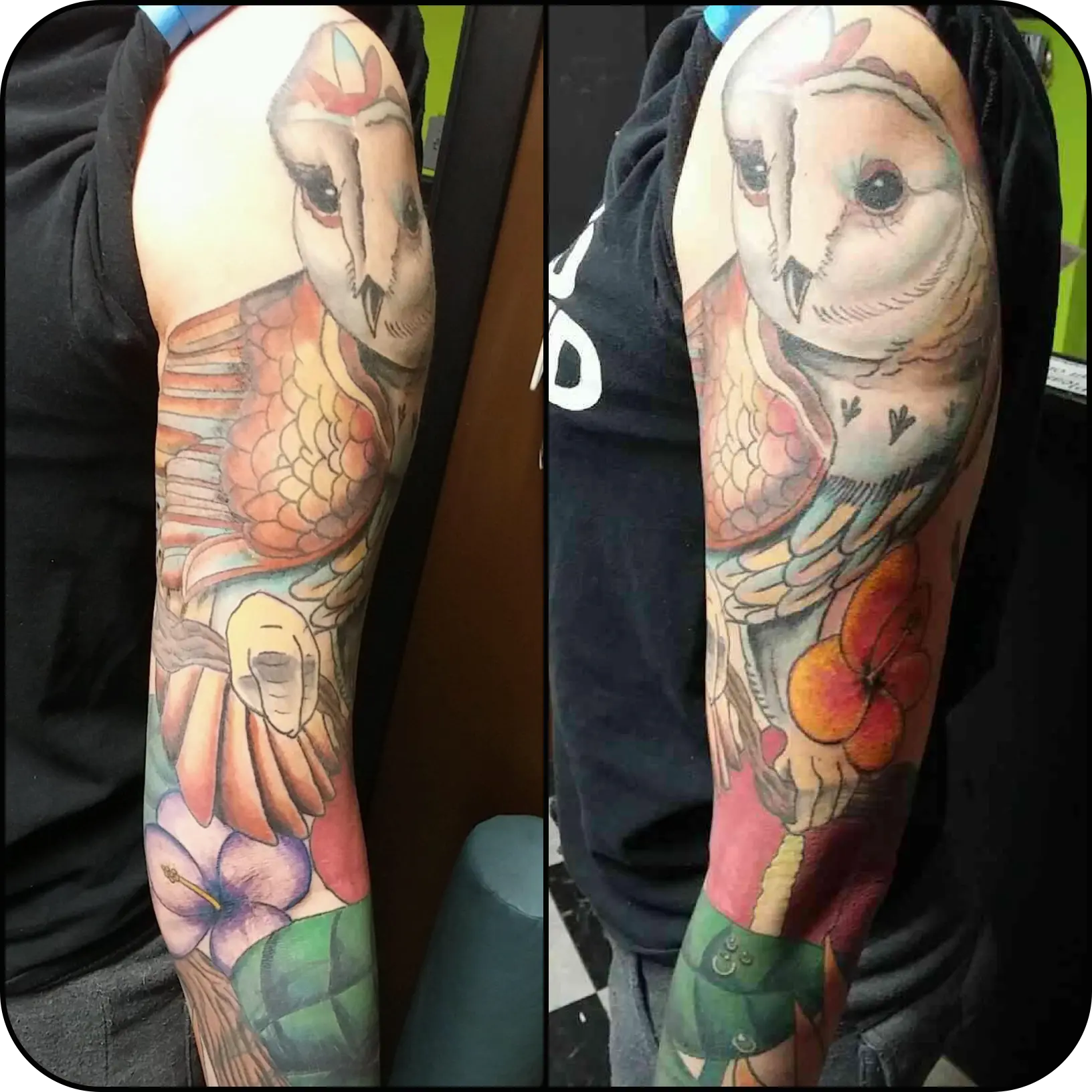 Full color owl and floral sleeve tattoo by Josh Poindexter
